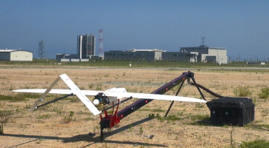 PenguinC(ラトビア製)